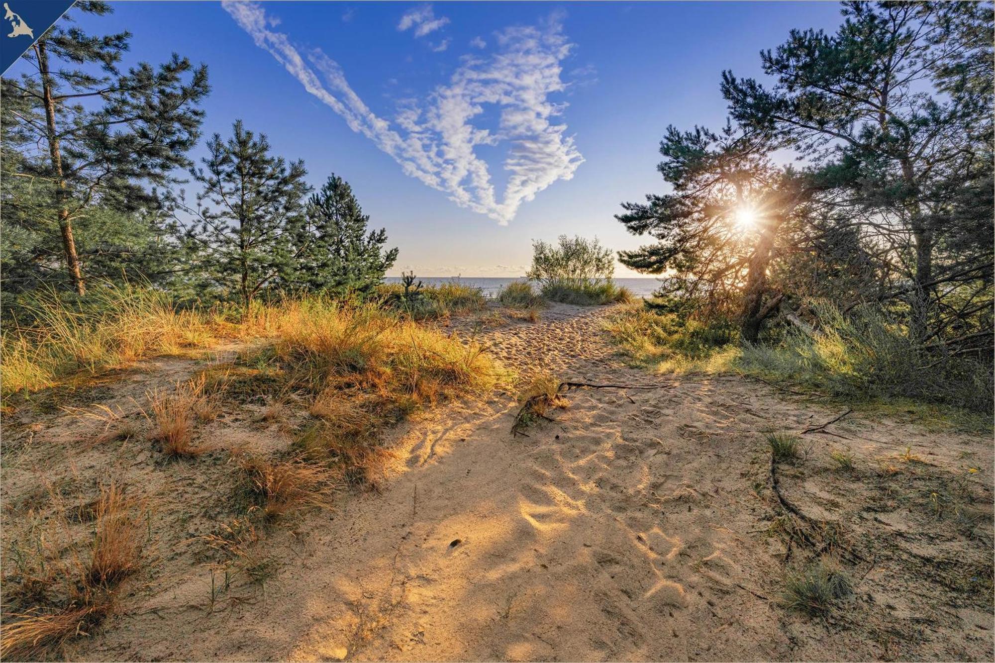 Nur 100M Zum Strand Fewo Ostseeflair By Pro Home Appartements Zempin Exteriör bild